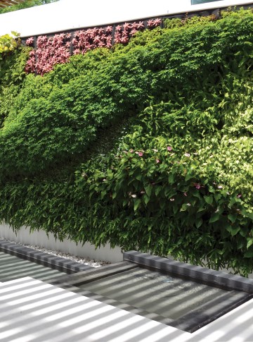 Benefits of Living Walls